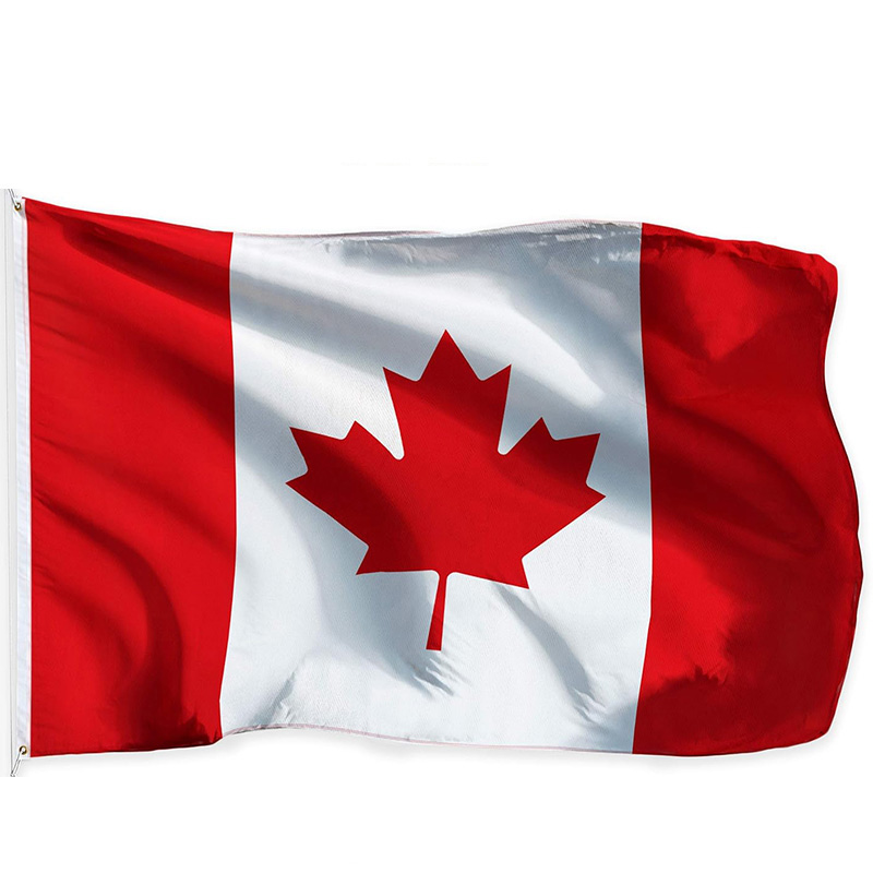2026 World Group B Canada Bosn - Home Decor Qatar review and price