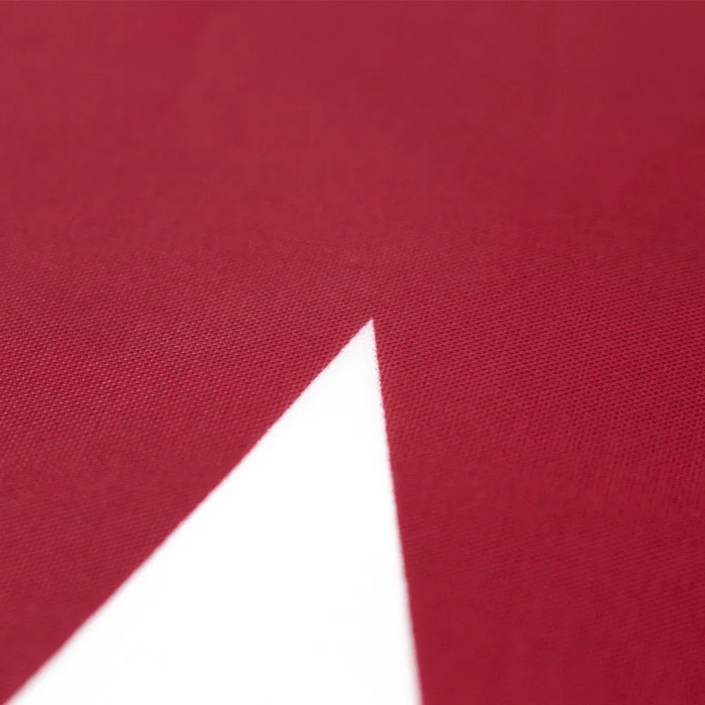 60x90cm 90X150cm Qatar Flag Po - Home Decor Qatar review and price